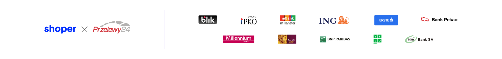 Płatności Shoper