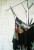 1eb34e01644b54f91be387dab8b25a52