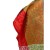 230.jpg