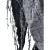 280.jpg